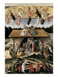 The Mystic Nativity