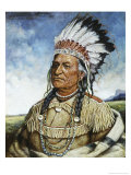 Old Chief American Horse