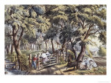 The Old Farm Gate