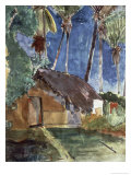Tahiti Landscape