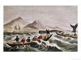 The Whale Fishery Layin On
