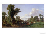 Wooded Landscape