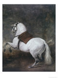 White Horse