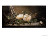 White Magnolias on a Blue Cloth