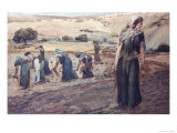Ruth Gleaning