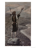 The Voice in the Desert