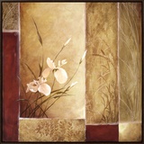 Iris in Bloom I