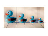 Blue Ducks