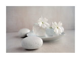 Petite Composition en Blanc