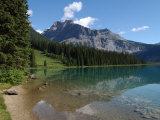 Edge of Mountain Lake in the Canadian Rockies