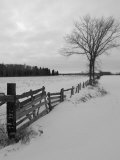 Snoe Scene  Gimli  Manitoba