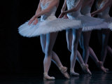 Ballet - Live Performance