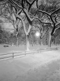 Snow Covered Promenade  Central Park