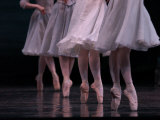 Ballet  Live Performance