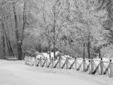 Winnipeg Manitoba  Canada Winter Scenes