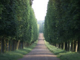 Chateau de Versailles  France