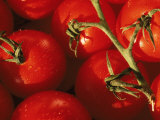 Tomatoes on Vine