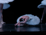 Ballet - Live Performance