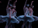 Ballet - Live Performance