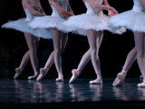 Ballerina's Performing Dance Routine