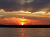 Sunset at Lake of the Woods  Ontario  Canada