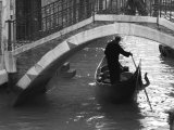 Venice  Italy