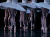 Ballet - Live Performance