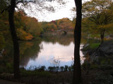 Central Park  New York City