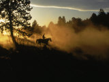Cowboy on Horse