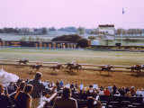 Keenland Racetrack  Lexington  KY
