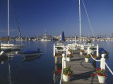 Balboa  Newport Beach  CA