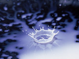 Water Drop in Blue Puddle