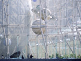 Planetarium  Museum of Natural History  NYC  NY