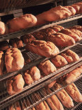 Baked Loaves of Bread  Providence  RI