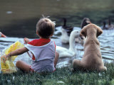 Little Boy and Puppy Looking at Ducks in Pond