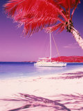 Catamaran on the Caribbean Shore