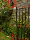 Ireland  Kinsale  County Cork