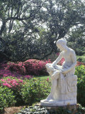 Middleton Gardens  Charleston  SC