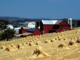 Amish Farm with Sheaves of Wheat