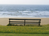 Bench Overlooking the Sea  Sutherland
