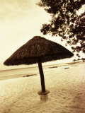 Palapa Umbrella on the Beach  Cancun  Mexico