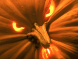 Close-up of Jack O'Lantern