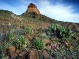 Big Bend National Park  USA