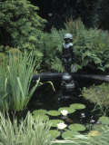 Statue in Fountain in Garden