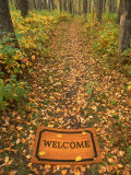 Welcome Mat on Forest Trail