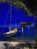 Marina De La Paz  Baja California  Mexico