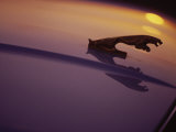 Hood Ornament of Jaguar with Light Reflection