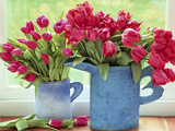 Pink Parrot Tulipa in Blue Vases with Handles  February