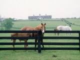 Woodford County Horse Farms  KY