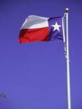 Texas State Flag